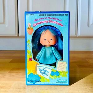 🍓FIRST ISSUE STRAWBERRY SHORTCAKE BLUEBERRY MUFFIN *COMPLETE BOX SET*